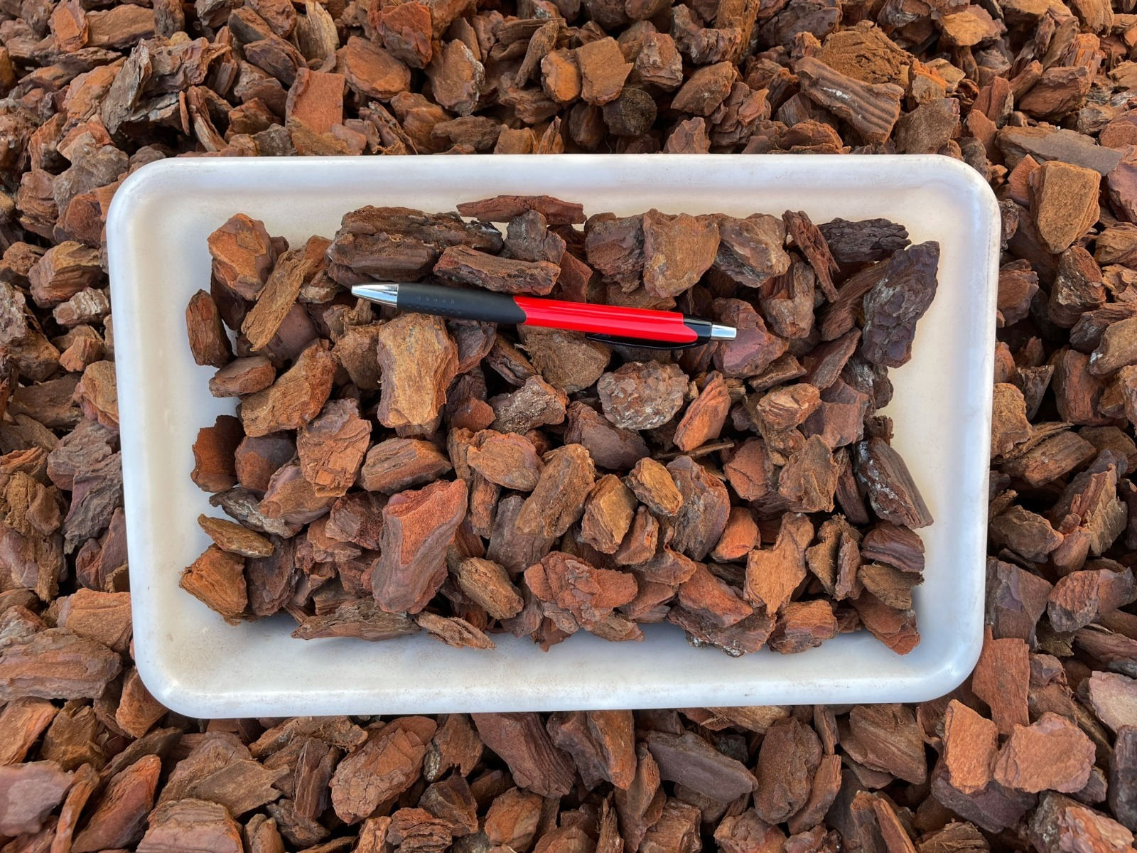 Pot Covering & Decorative Bark